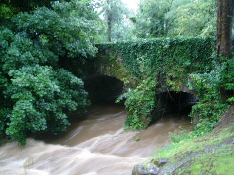 River in spate 1.JPG